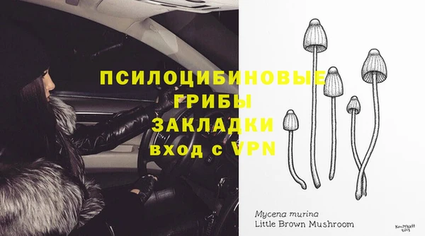 спайс Заводоуковск