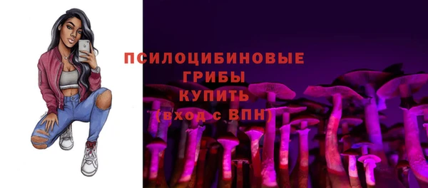 меф Заволжск